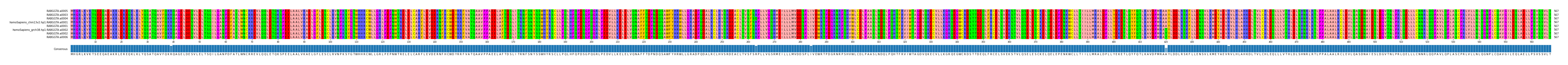 Multiple Alignments (by translate haplotype similarity)