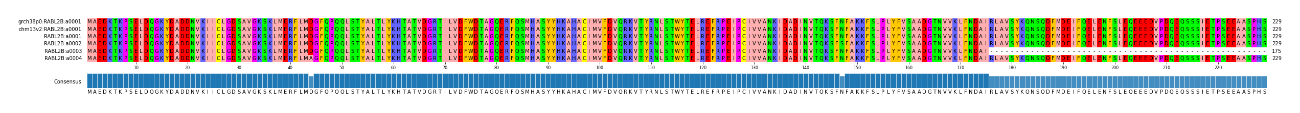 Multiple Alignments (by translate haplotype frequency)