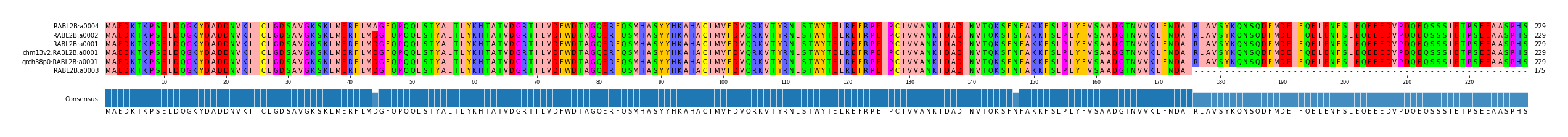 Multiple Alignments (by translate haplotype similarity)