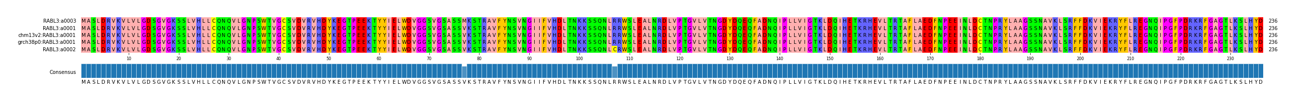 Multiple Alignments (by translate haplotype similarity)