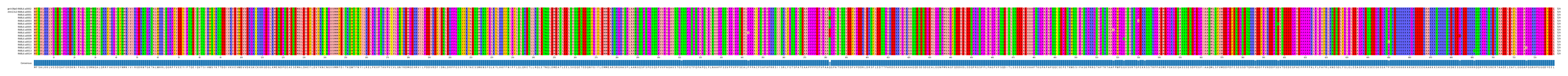 Multiple Alignments (by translate haplotype frequency)