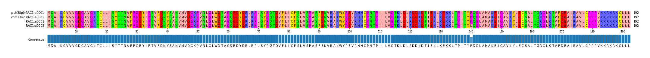 Multiple Alignments (by translate haplotype similarity)