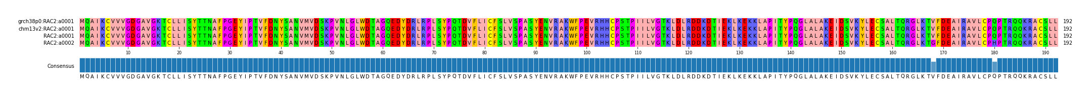 Multiple Alignments (by translate haplotype similarity)