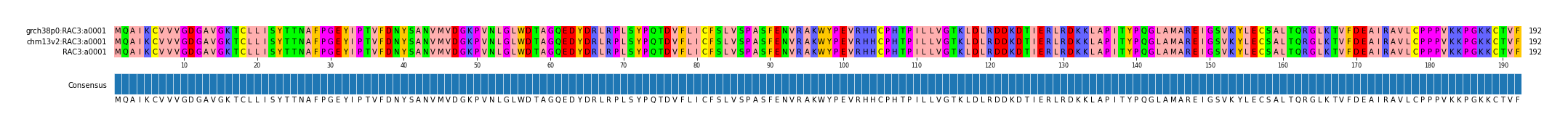Multiple Alignments (by translate haplotype similarity)