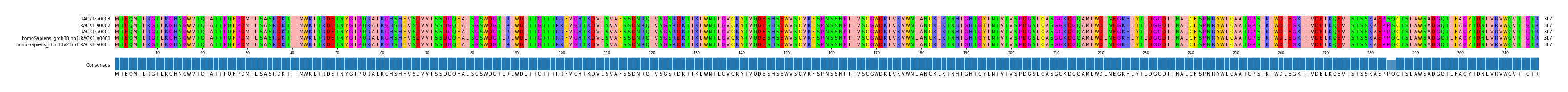 Multiple Alignments (by translate haplotype similarity)