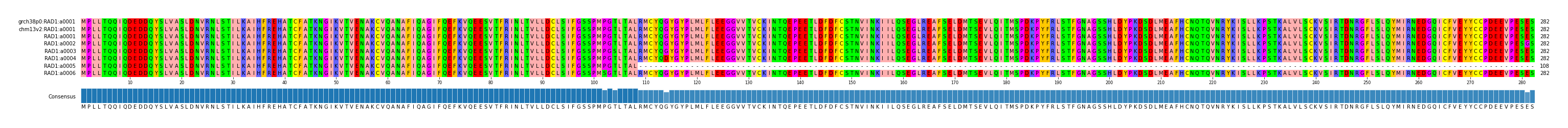 Multiple Alignments (by translate haplotype frequency)