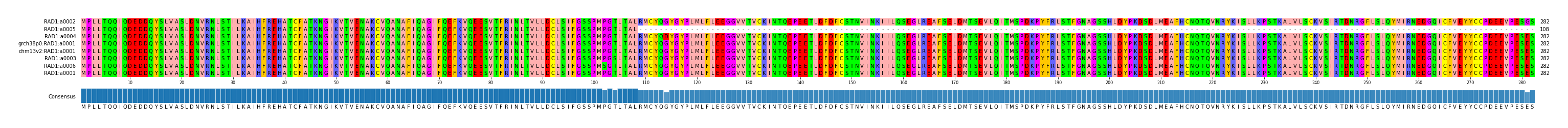 Multiple Alignments (by translate haplotype similarity)