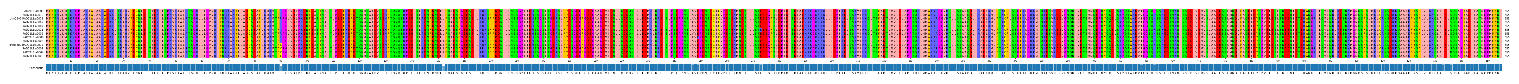 Multiple Alignments (by translate haplotype similarity)
