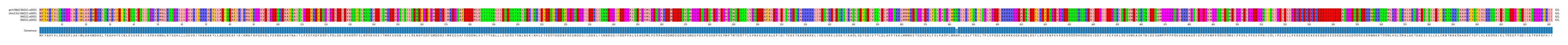 Multiple Alignments (by translate haplotype similarity)