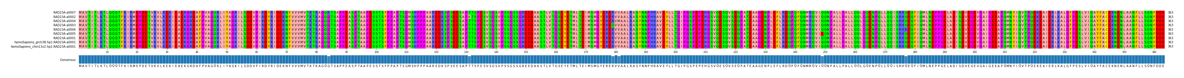 Multiple Alignments (by translate haplotype similarity)