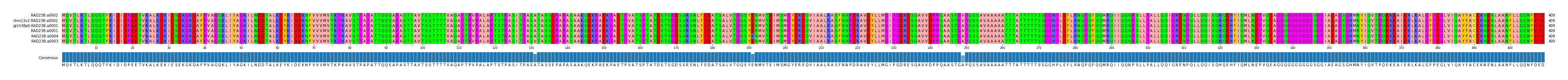 Multiple Alignments (by translate haplotype similarity)