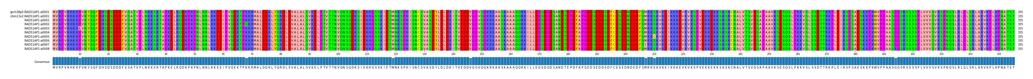 Multiple Alignments (by translate haplotype frequency)