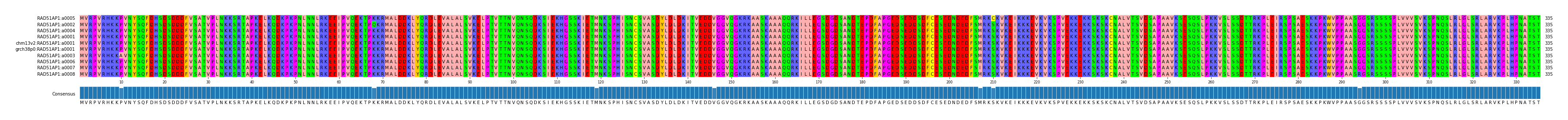 Multiple Alignments (by translate haplotype similarity)