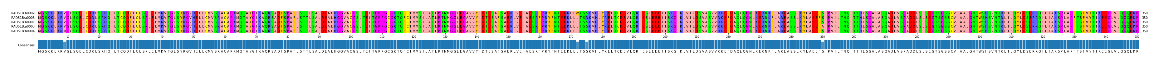 Multiple Alignments (by translate haplotype similarity)