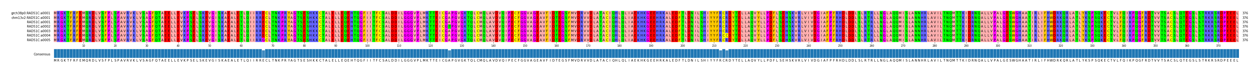 Multiple Alignments (by translate haplotype frequency)