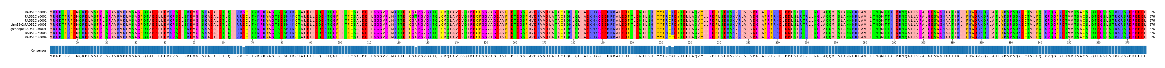 Multiple Alignments (by translate haplotype similarity)