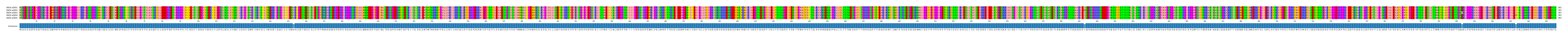 Multiple Alignments (by translate haplotype frequency)