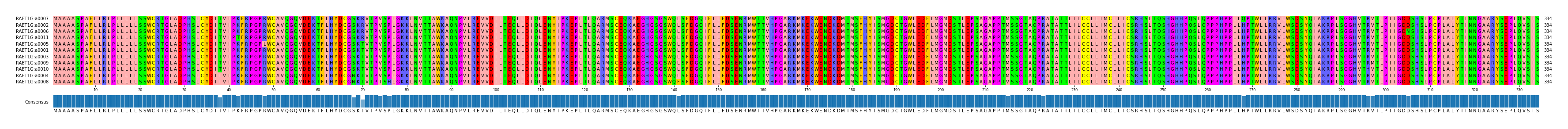 Multiple Alignments (by translate haplotype similarity)