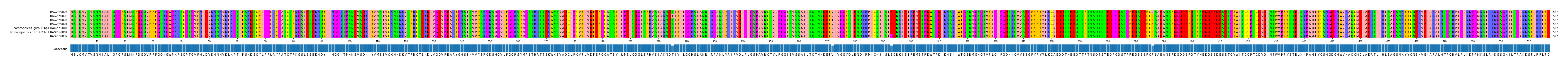 Multiple Alignments (by translate haplotype similarity)