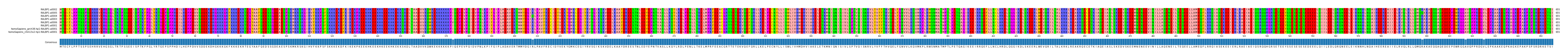 Multiple Alignments (by translate haplotype similarity)