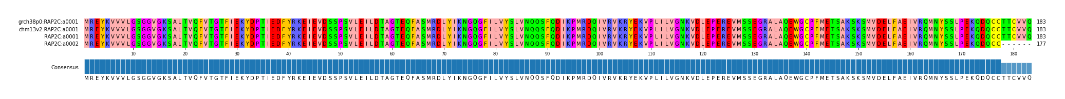 Multiple Alignments (by translate haplotype similarity)