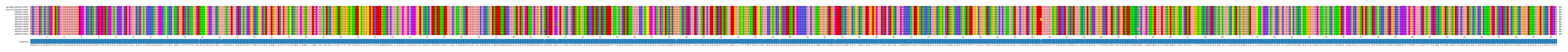 Multiple Alignments (by translate haplotype frequency)