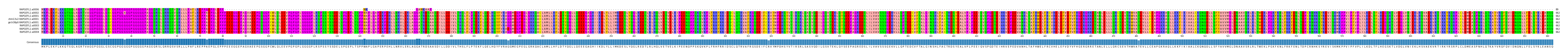 Multiple Alignments (by translate haplotype similarity)