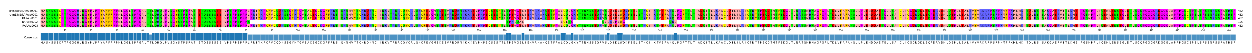 Multiple Alignments (by translate haplotype frequency)