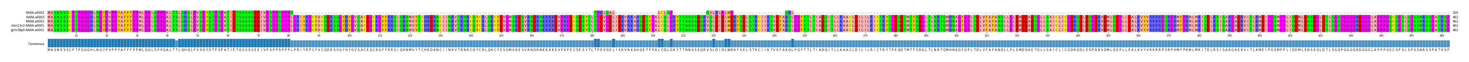 Multiple Alignments (by translate haplotype similarity)