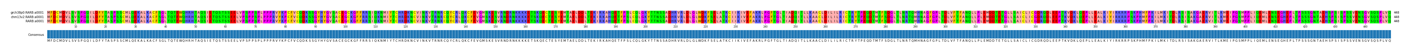 Multiple Alignments (by translate haplotype similarity)