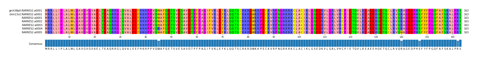Multiple Alignments (by translate haplotype frequency)