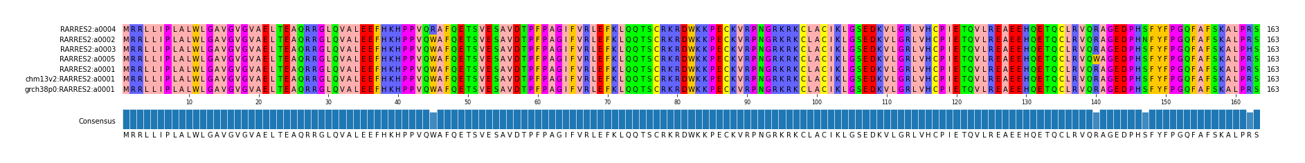 Multiple Alignments (by translate haplotype similarity)