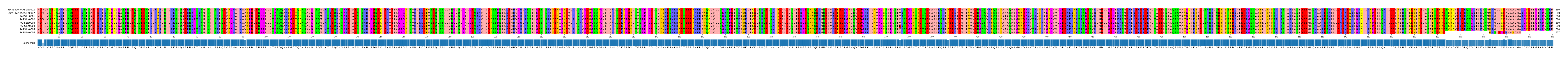 Multiple Alignments (by translate haplotype frequency)