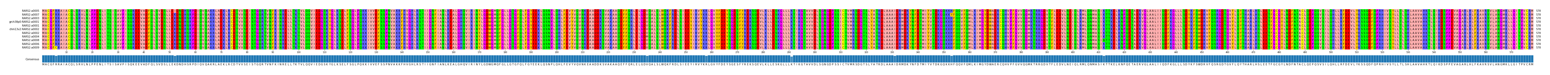 Multiple Alignments (by translate haplotype similarity)