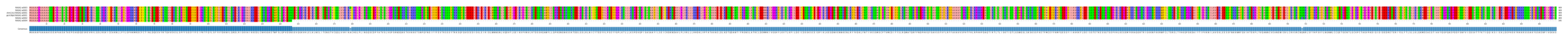 Multiple Alignments (by translate haplotype similarity)