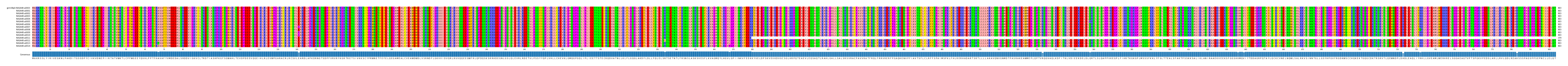Multiple Alignments (by translate haplotype frequency)