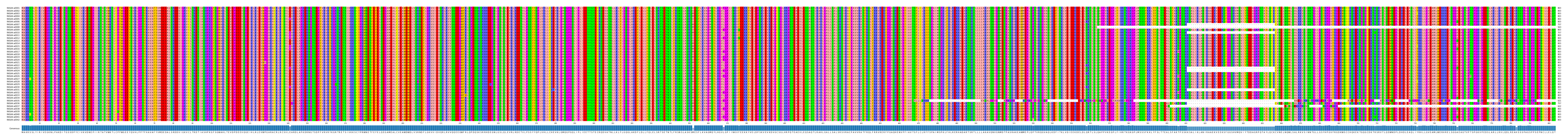 Multiple Alignments (by translate haplotype frequency)