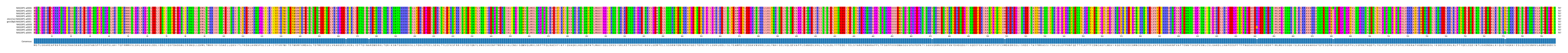 Multiple Alignments (by translate haplotype similarity)