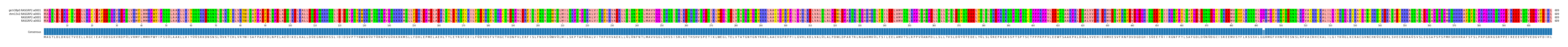 Multiple Alignments (by translate haplotype similarity)