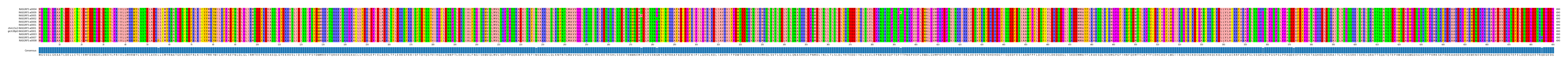 Multiple Alignments (by translate haplotype similarity)