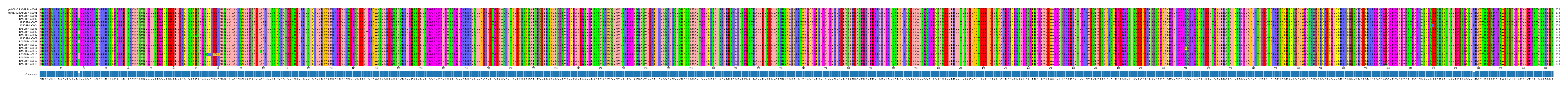 Multiple Alignments (by translate haplotype frequency)