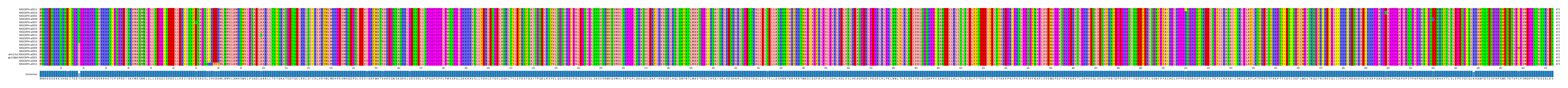 Multiple Alignments (by translate haplotype similarity)