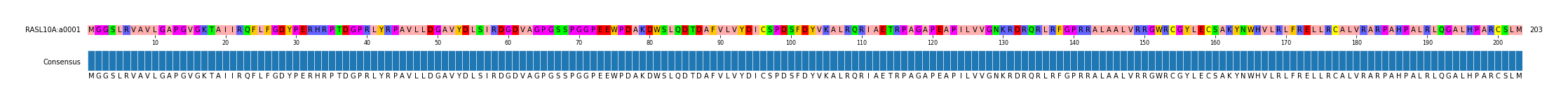 Multiple Alignments (by translate haplotype similarity)
