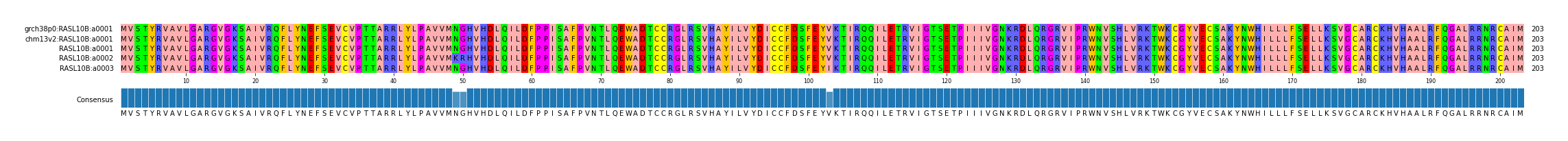 Multiple Alignments (by translate haplotype frequency)