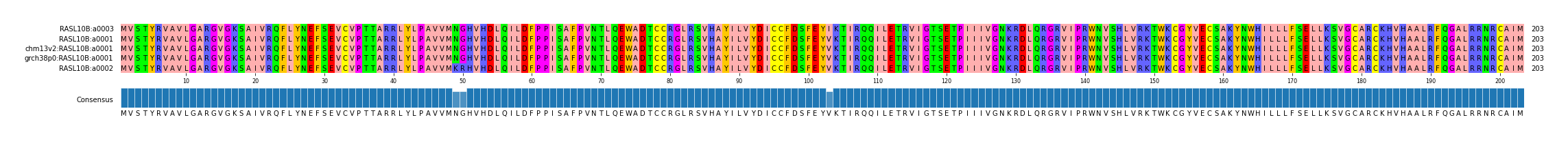 Multiple Alignments (by translate haplotype similarity)