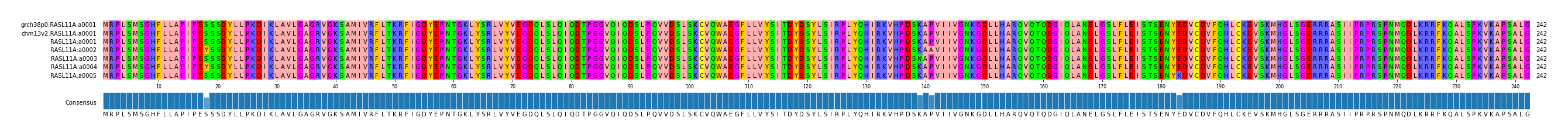 Multiple Alignments (by translate haplotype frequency)
