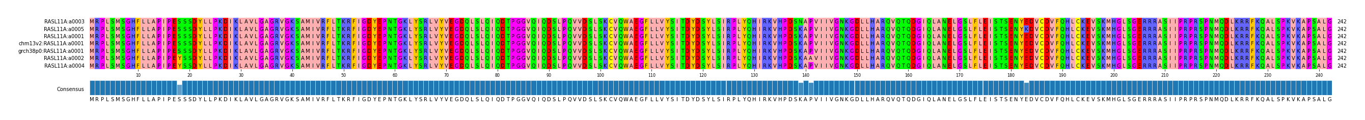 Multiple Alignments (by translate haplotype similarity)