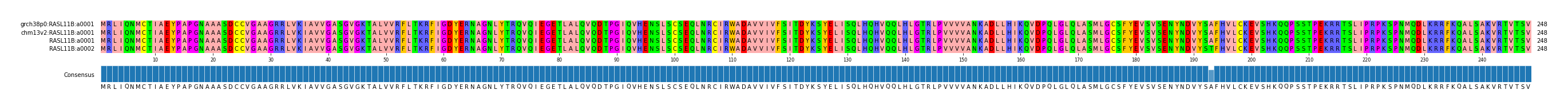 Multiple Alignments (by translate haplotype similarity)