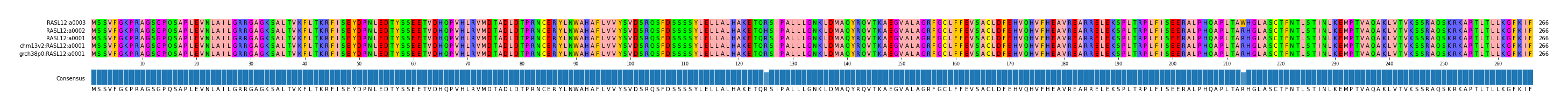Multiple Alignments (by translate haplotype similarity)