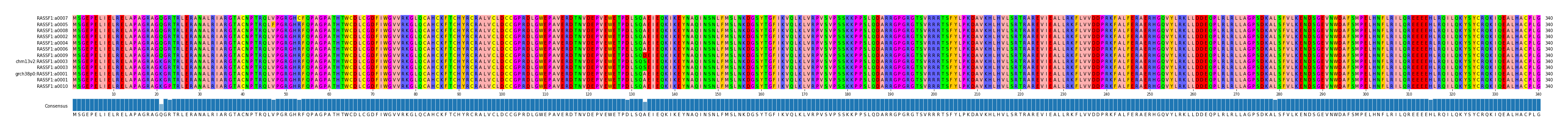 Multiple Alignments (by translate haplotype similarity)